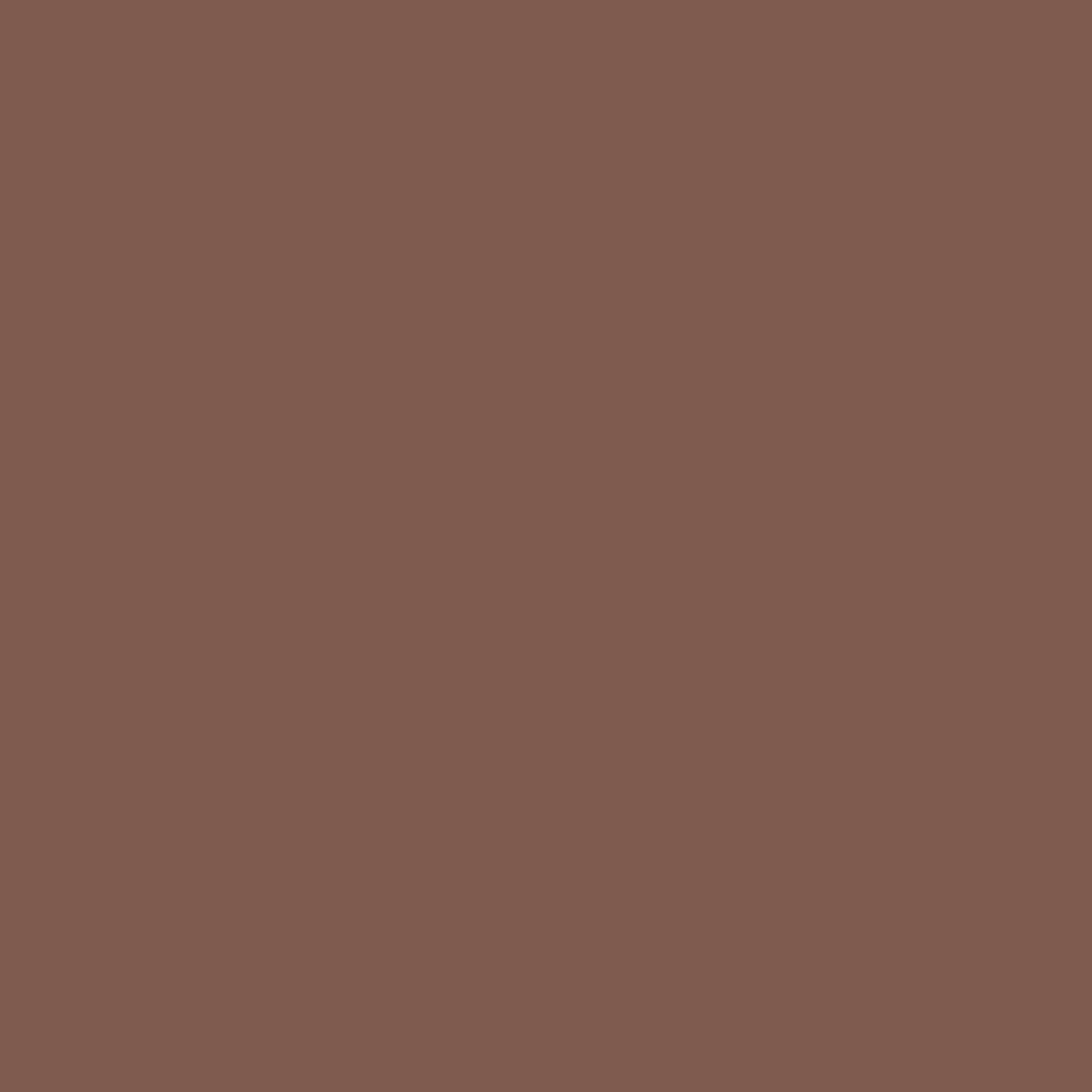 Colour Splash Food Colouring Gel - Dark Brown | Highly Concentrated Gel | 25 g 2