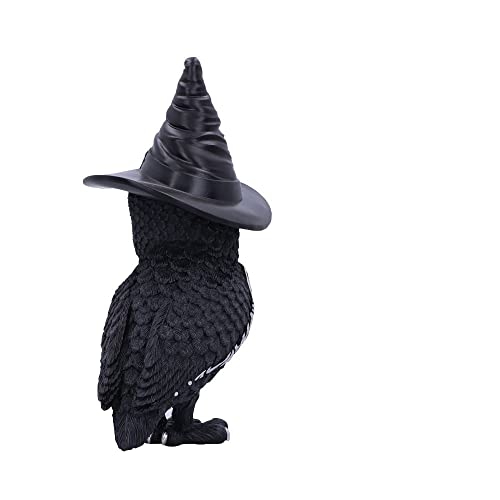 Nemesis Now Owlocen, Schwarz, 30 cm (groß)