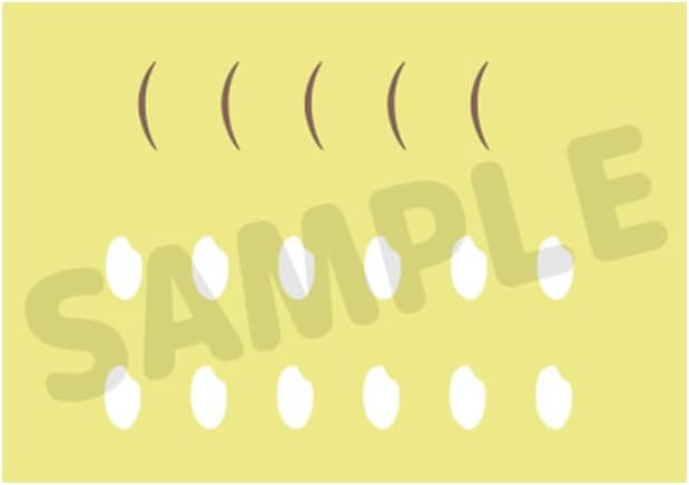 Orange Rouge Nendoroid Haikyu!! - Keiji Akaashi Collectible Figure (G12778R) 5