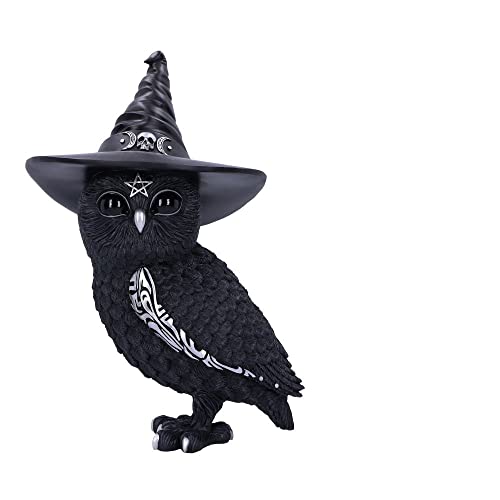 Nemesis Now Owlocen, Schwarz, 30 cm (groß)