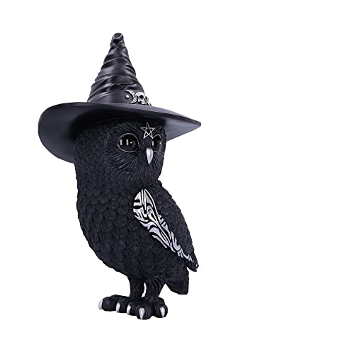Nemesis Now Owlocen, Schwarz, 30 cm (groß)