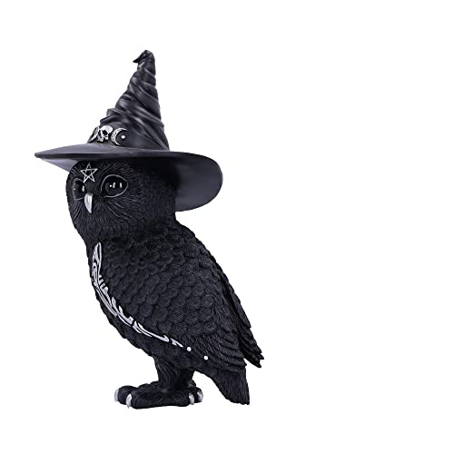 Nemesis Now Owlocen, Schwarz, 30 cm (groß)