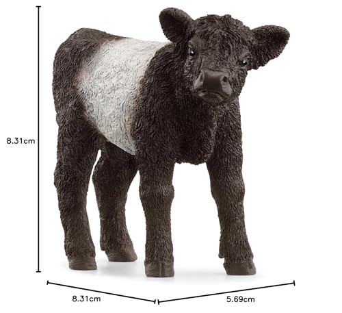 Schleich FARM WORLD Galloway Calf Figurine 13969 | Ages 3+ | Black PVC 6