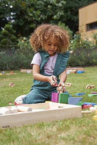 TickiT Wooden Enchanted Figures Set - 10 Fairy Tale Characters for Imaginative Play 14