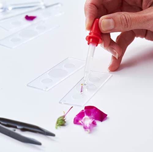 Science Mad SM45 Rose 100x Microscope - Educational STEM Toy for Kids 6+ 13