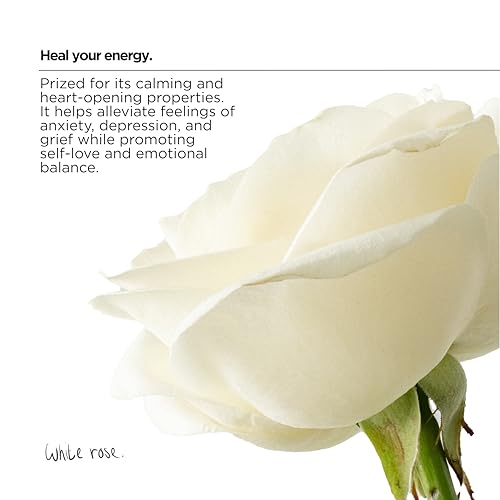 The Lab Co. - Non-Bio Concentrated Laundry Detergent | 1L, 40 Loads 17