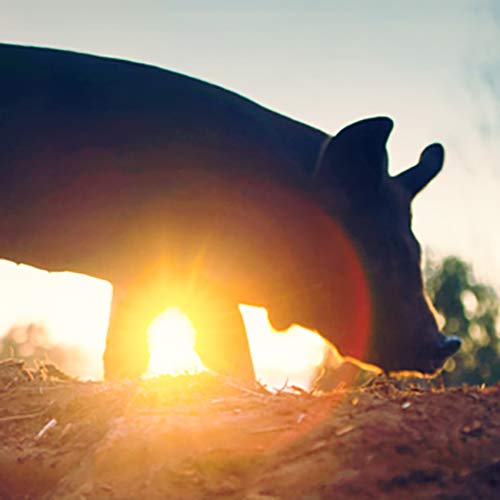 The Biggest Little Farm (2018) - Documentary [DVD] 3