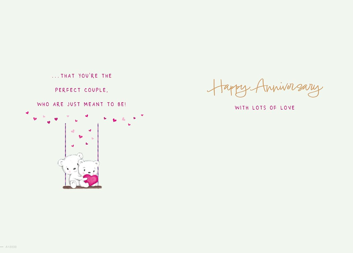 Piccadilly Greetings Anniversary Card for Wonderful Sister & Brother-in-Law | 9 x 6 Inches