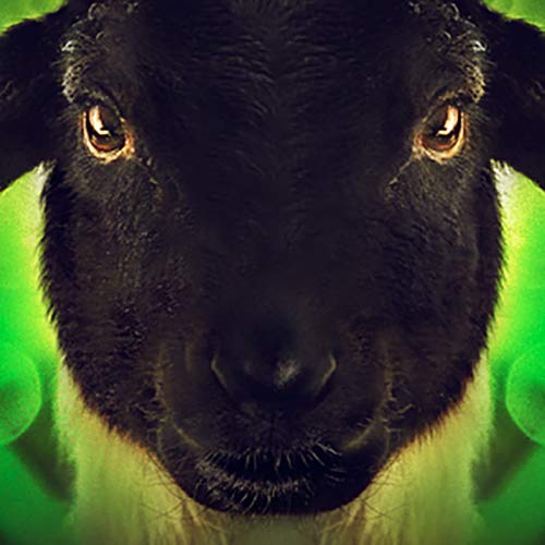 The Biggest Little Farm (2018) - Documentary [DVD] 4