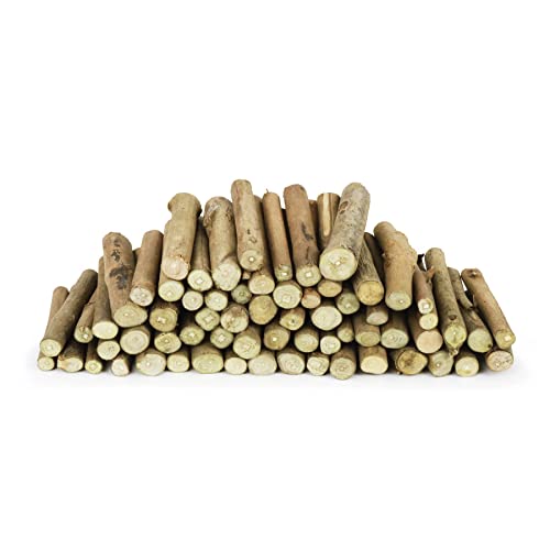 Wooden Branch Stumps - 250g Craft Pack for Kids, Natural 6cm Stumps for Arts & Crafts