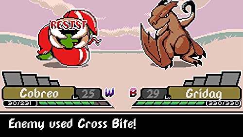 Monster Crown - Nintendo Switch 20