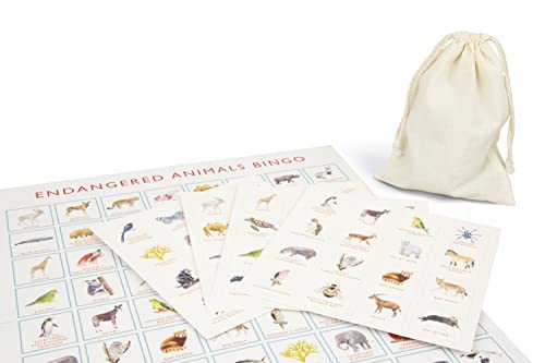 Endangered Animals Bingo: Learn About 64 Threatened Species with Illustrated Cards 4