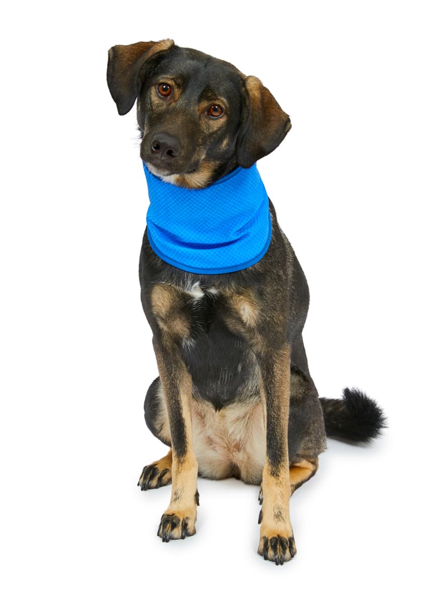 Petface Cooling Dog Bandana - Water-Activated Reusable | Large (38-52 cm Neck) 6