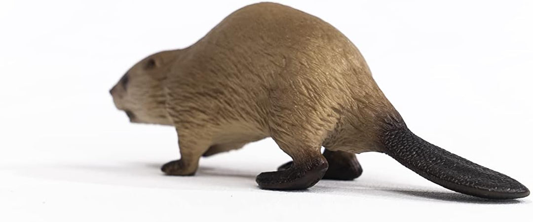Schleich 14855 Beaver Figurine - Realistic Wild Life Animal Toy for Ages 3+