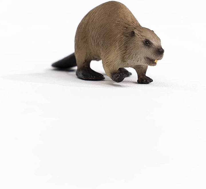 Schleich 14855 Beaver Figurine - Realistic Wild Life Animal Toy for Ages 3+