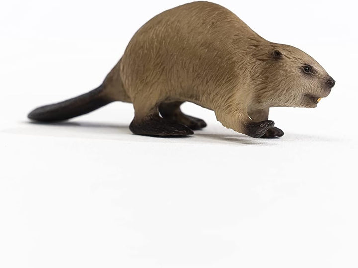 Schleich 14855 Beaver Figurine - Realistic Wild Life Animal Toy for Ages 3+
