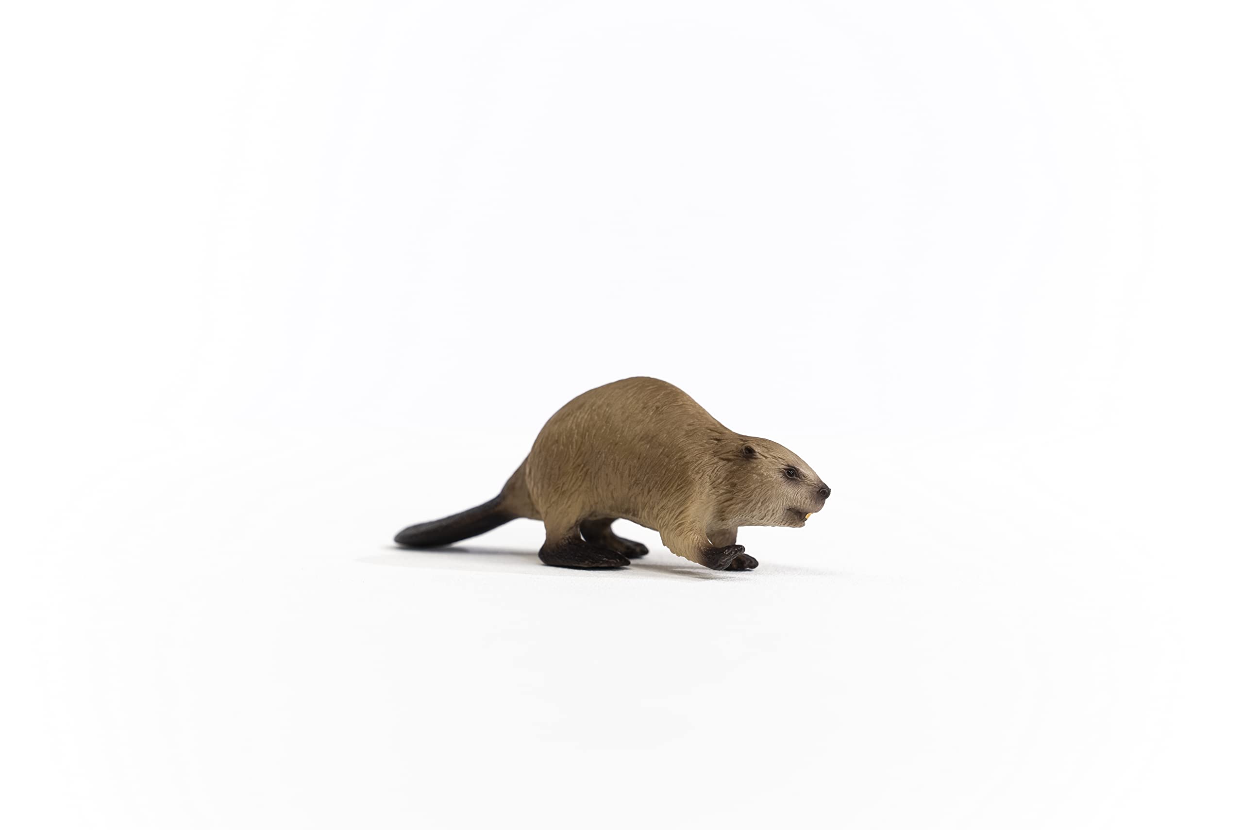Schleich 14855 Beaver - Wildlife Animal Figure for Kids 3+ 4
