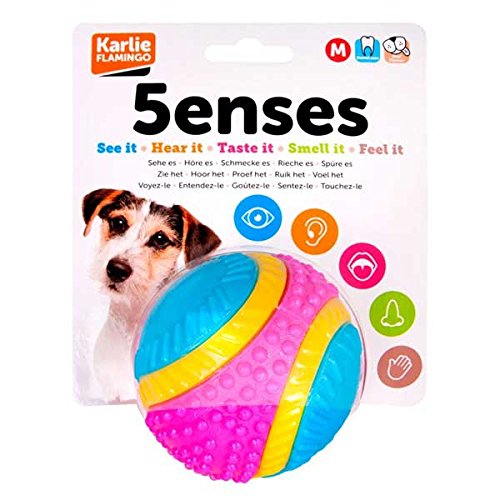 Sharples Five Senses Rubber Dog Ball - Beef Scented | Medium Size | Multicoloured 5