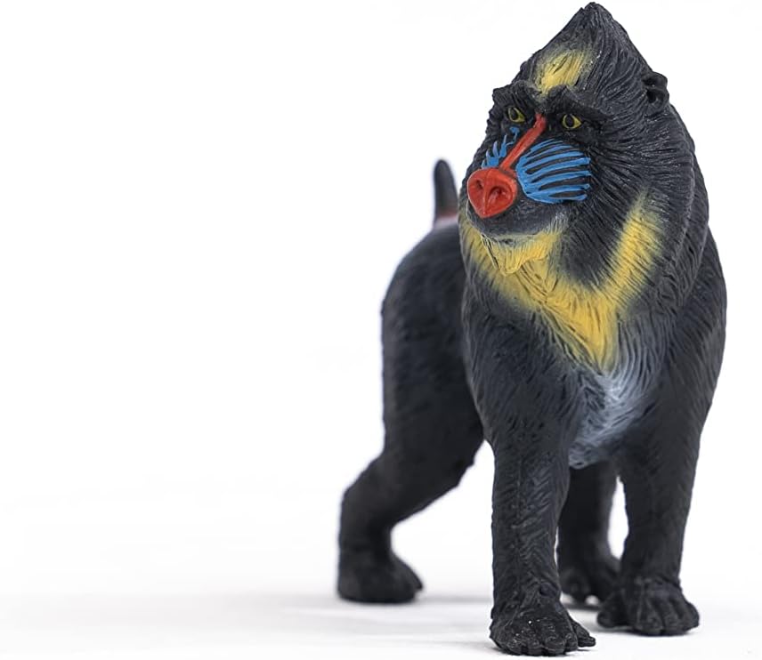 SCHLEICH Mandrill Figurine 14856 - Wildlife Animal Figure for Kids 3+ 3