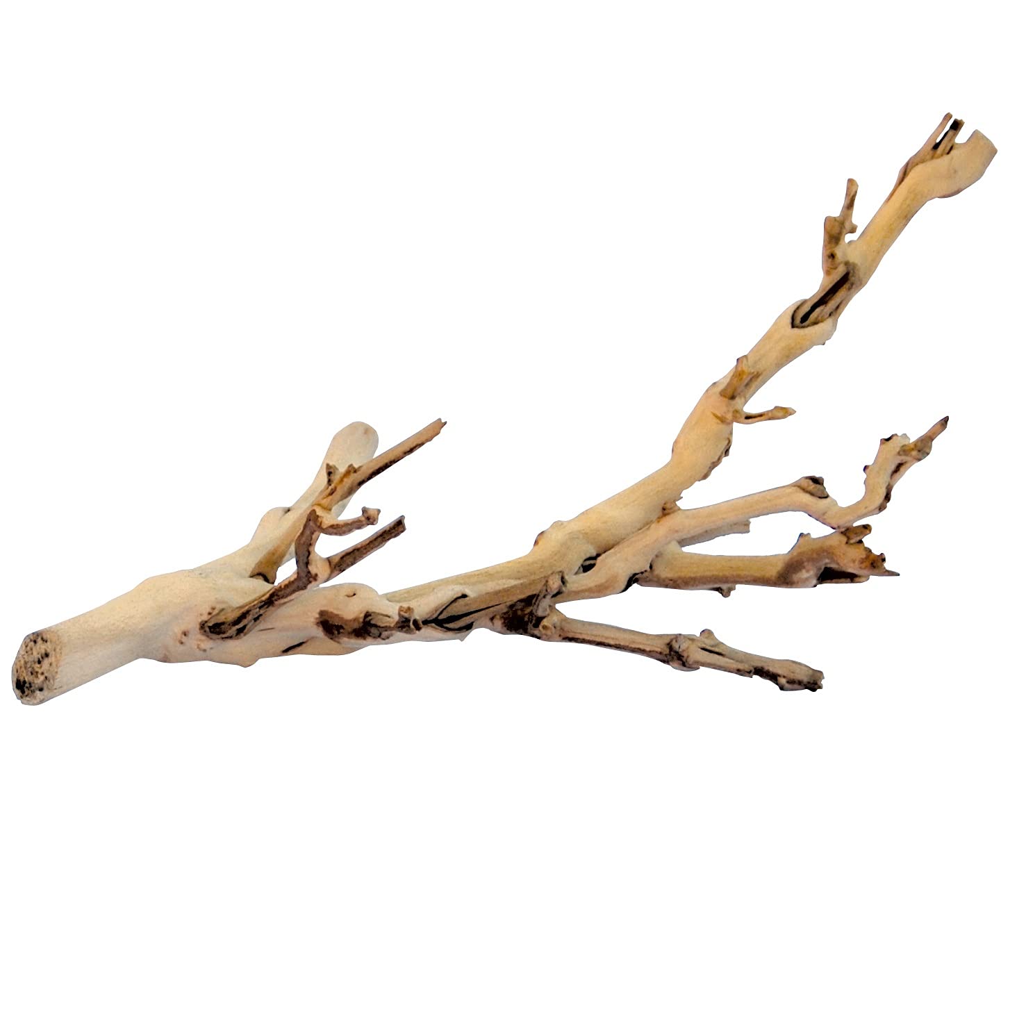 Exo Terra Forest Branch - Natural Wood Decor for 3D Terrarium Environments | Small