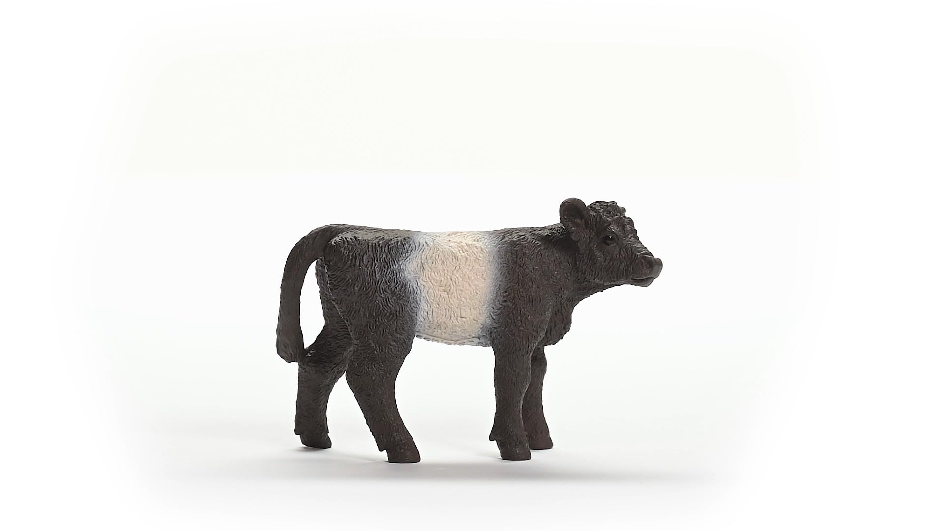 Schleich FARM WORLD Galloway Calf Figurine 13969 | Ages 3+ | Black PVC 4