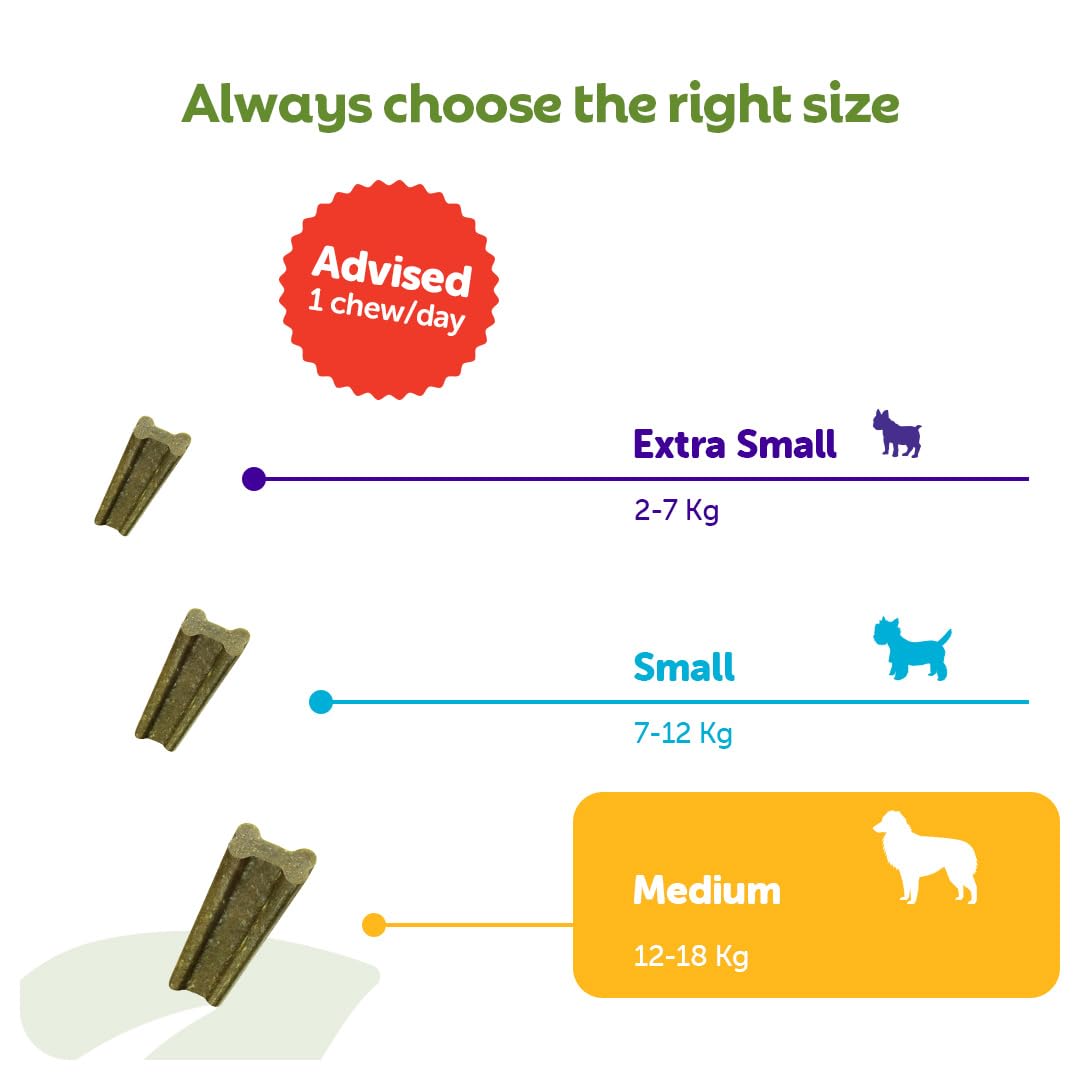 WHIMZEES Softer Dog Dental Stix - Size M, 14 Pieces | Gentle Chew for Seniors | Parsley Flavored 7