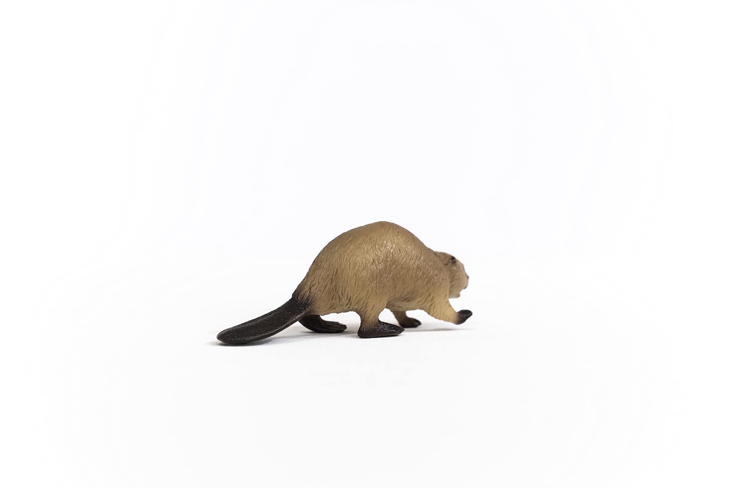 Schleich 14855 Beaver - Wildlife Animal Figure for Kids 3+ 5