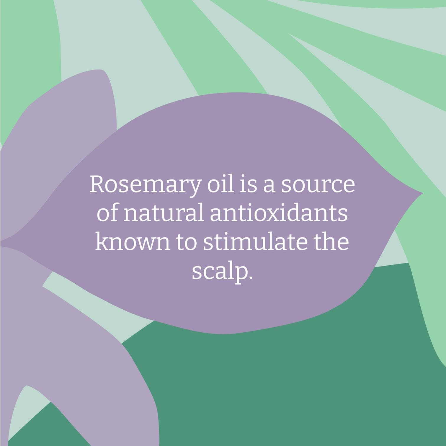 Faith In Nature - Rosemary Conditioner (400 ml) 13