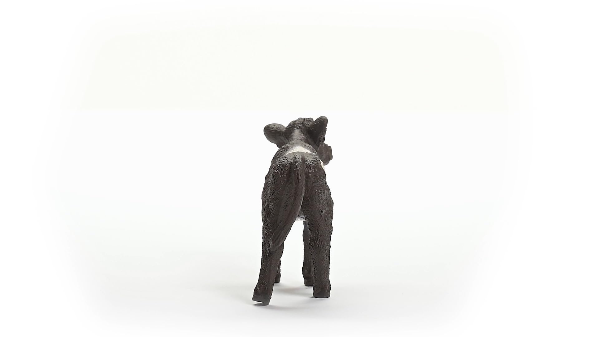 Schleich FARM WORLD Galloway Calf Figurine 13969 | Ages 3+ | Black PVC 5