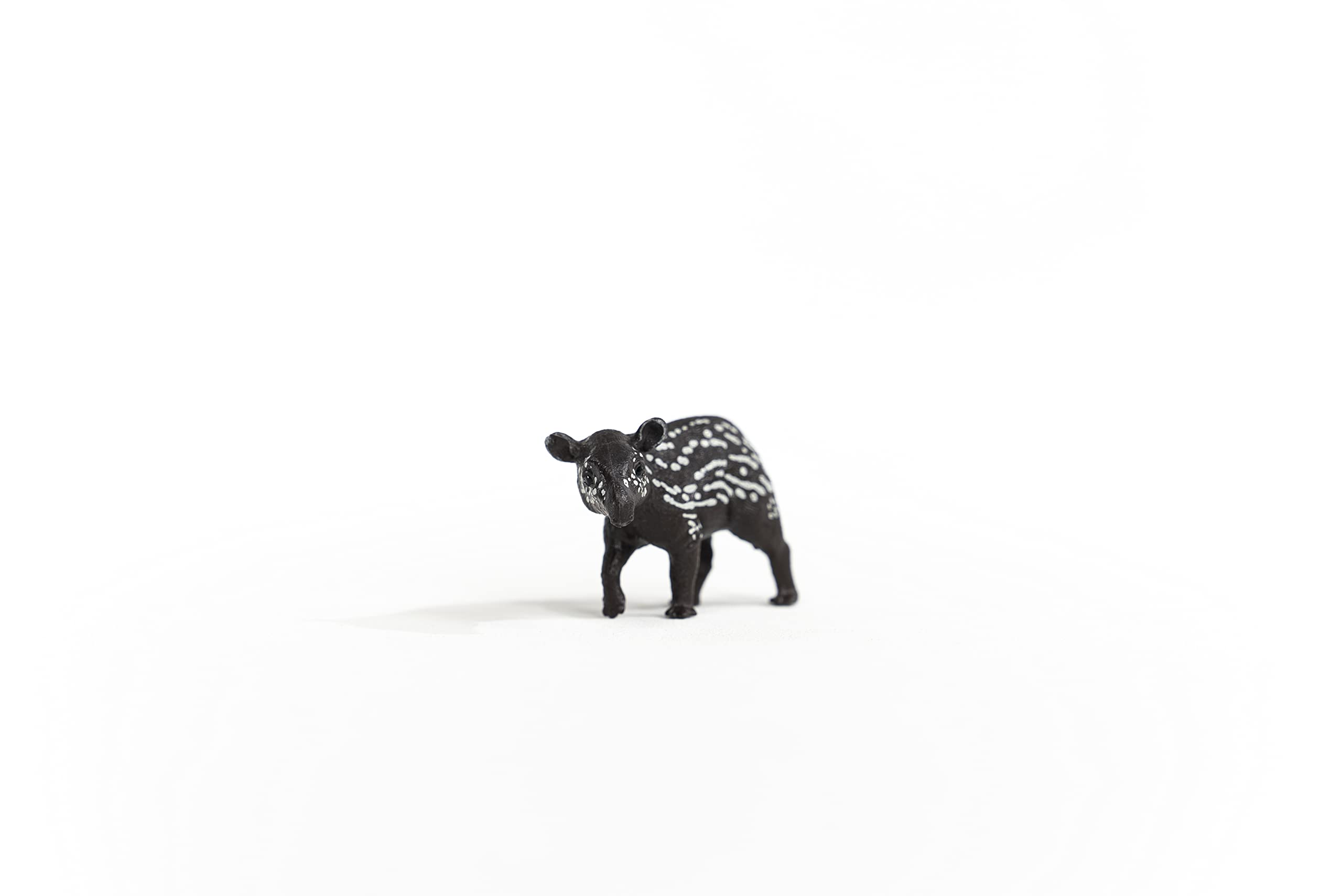 SCHLEICH Tapir Baby Wildlife Figurine - Realistic Animal Play Figure for Kids 5