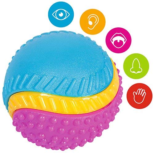 Sharples Five Senses Rubber Dog Ball - Beef Scented | Medium Size | Multicoloured 2