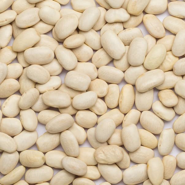 Wholefood Earth Haricot Beans 1 kg | GMO Free | Natural | High Fibre | Vegan