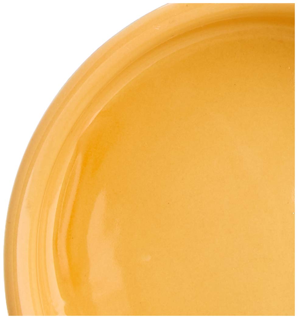 Nobby Ceramic Rodent Bowl - Glazed Inside/Outside | 7.5 x 2.5 cm | Beige/Orange 3