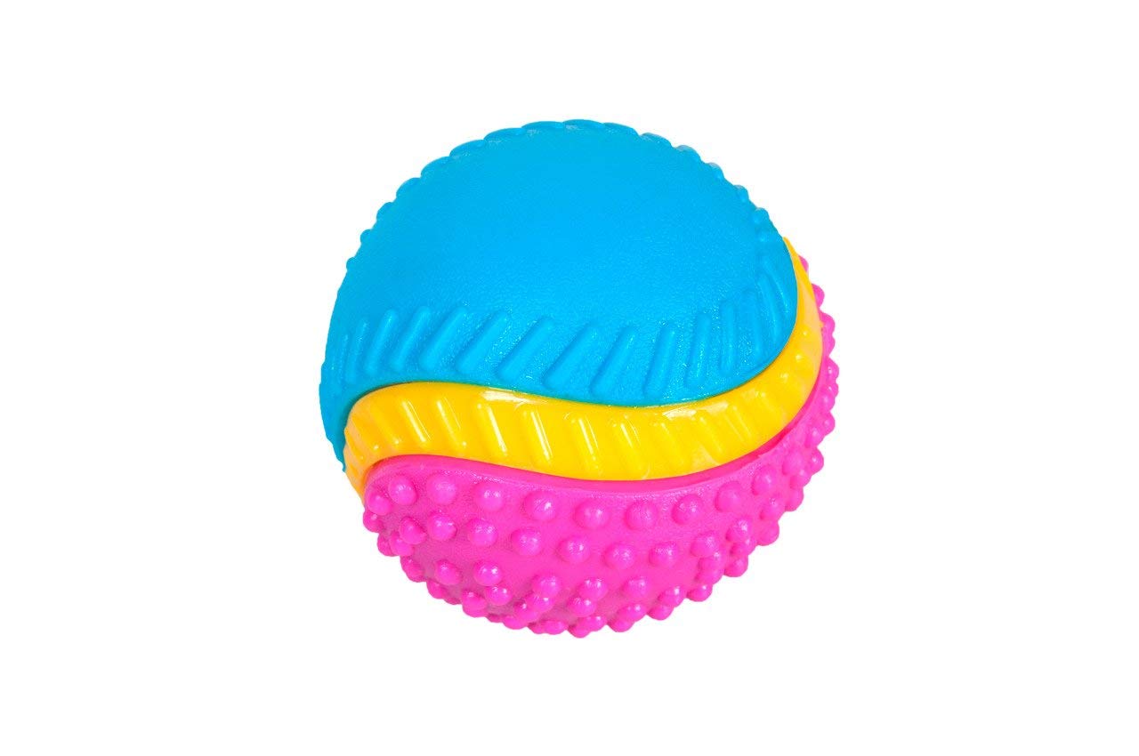 Sharples Five Senses Rubber Dog Ball - Beef Scented | Medium Size | Multicoloured 1