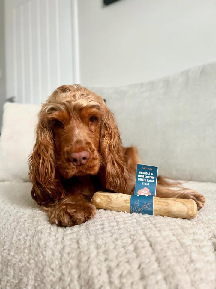 pet wiz Coffee Wood Dog Chew - Medium Size | Heavy Duty | Oral Hygiene 2