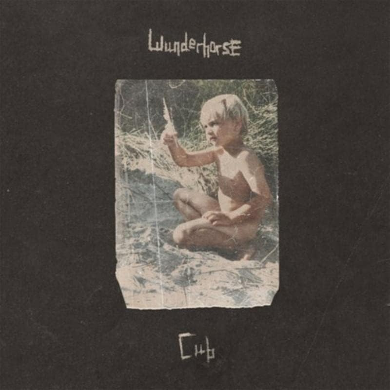 Wunderhorse - Cub Audio CD