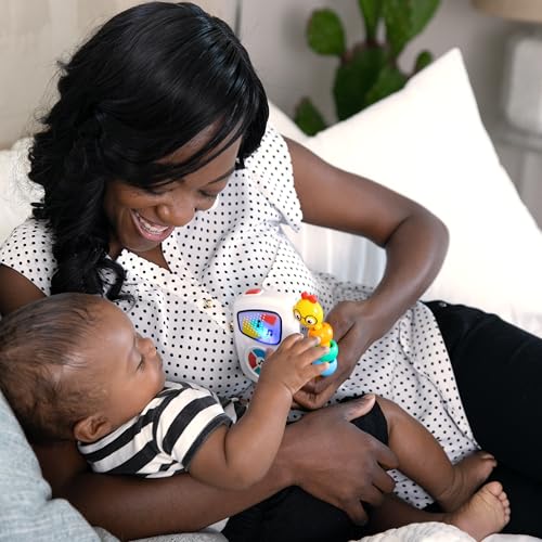 Baby Einstein Take Along Tunes Musical Toy - Classical Melodies for Babies 24