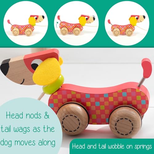 Goula 53459 Wooden Pull-Along Dog Toy - Multicolor for Toddlers 12 Months+ 8
