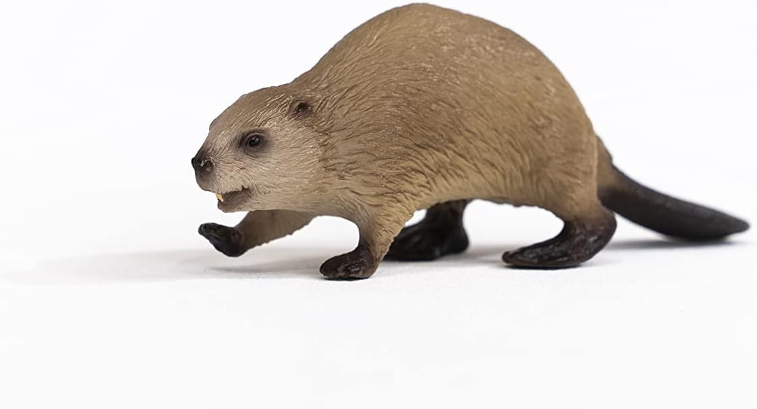Schleich 14855 Beaver Figurine - Realistic Wild Life Animal Toy for Ages 3+