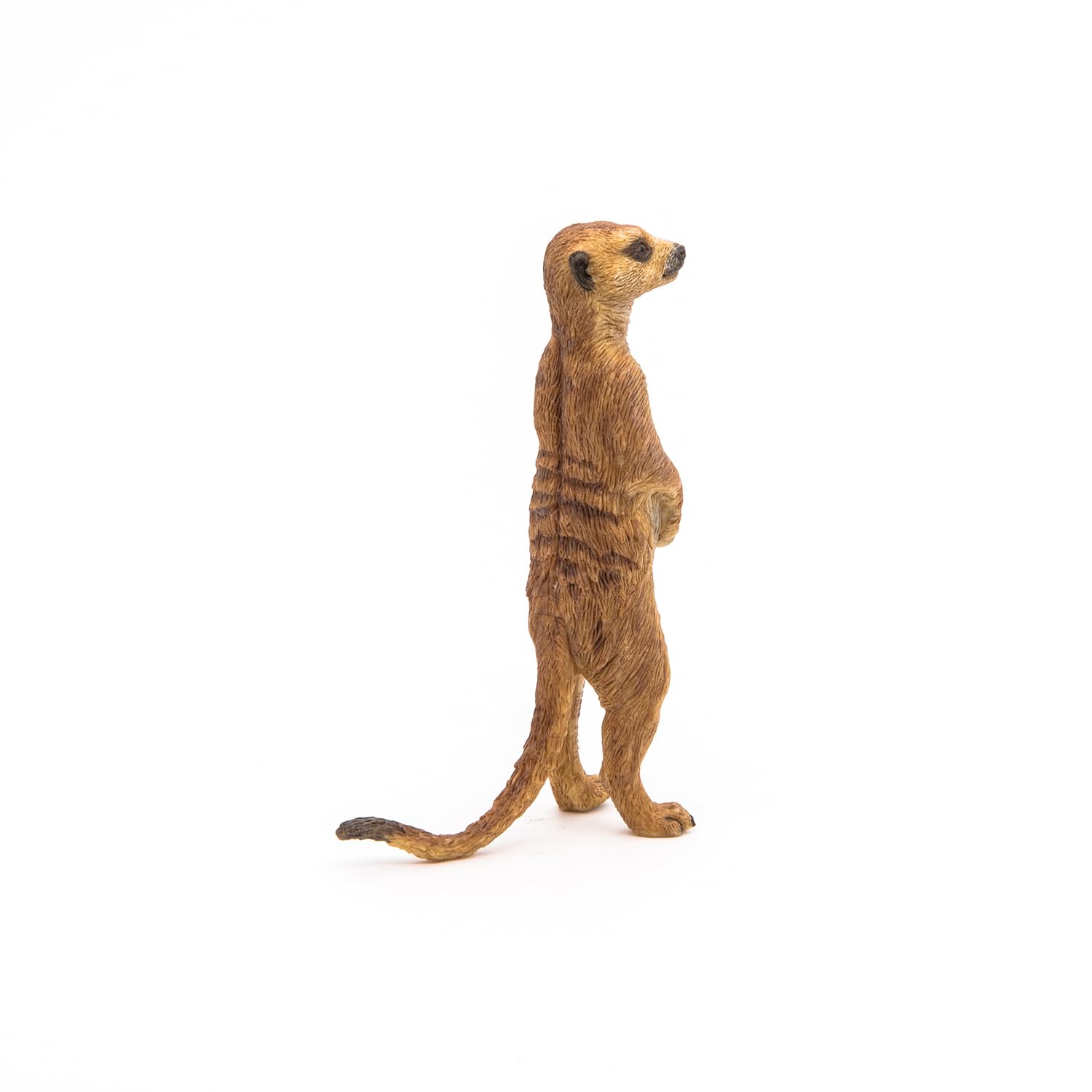 Papo 50206 Standing Meerkat Figurine - Educational Wildlife Play Figure for Kids 3+ 6