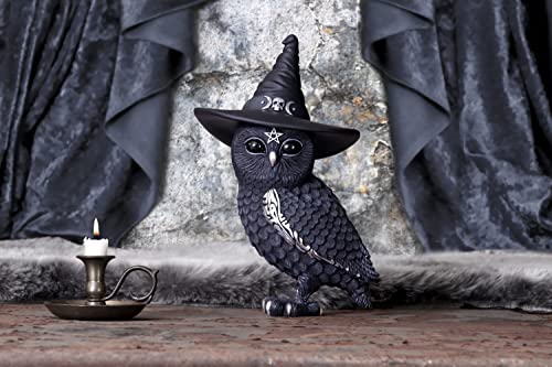 Nemesis Now Owlocen, Schwarz, 30 cm (groß)
