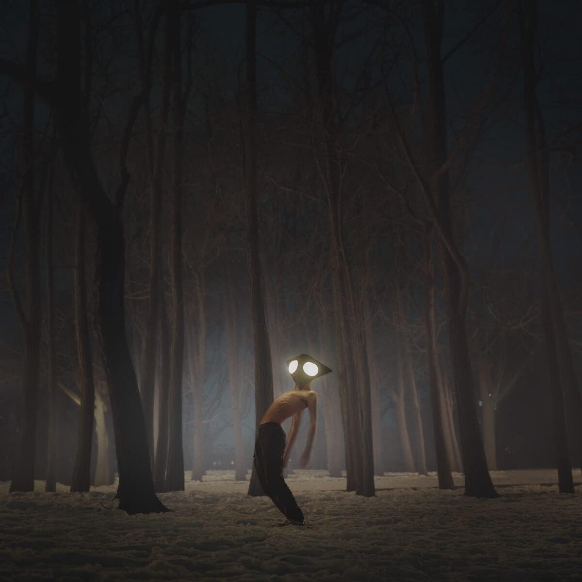 Geese - Projector Audio CD