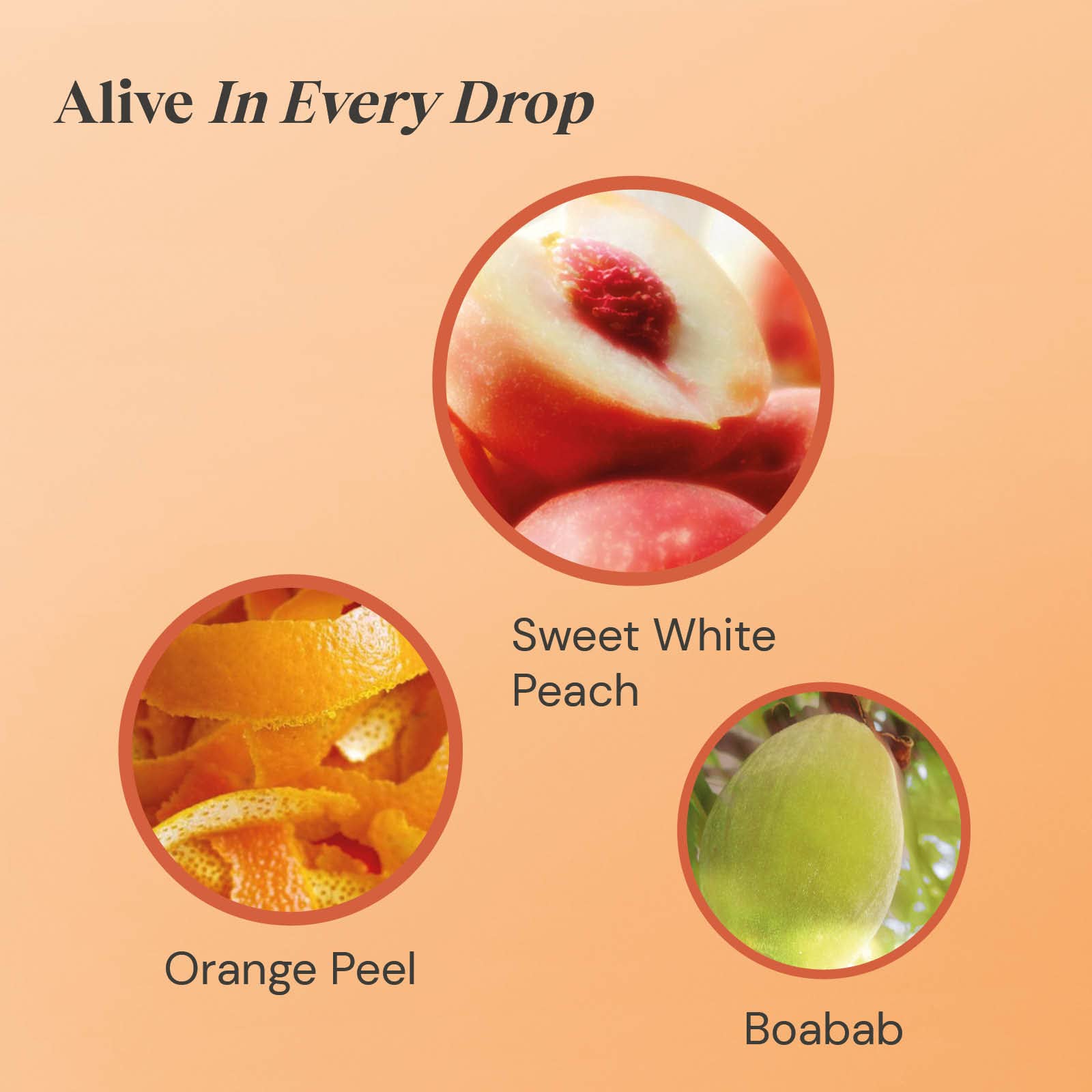 Twinings Peach & Orange Herbal Infusion Tea Bags, 20 Count 3