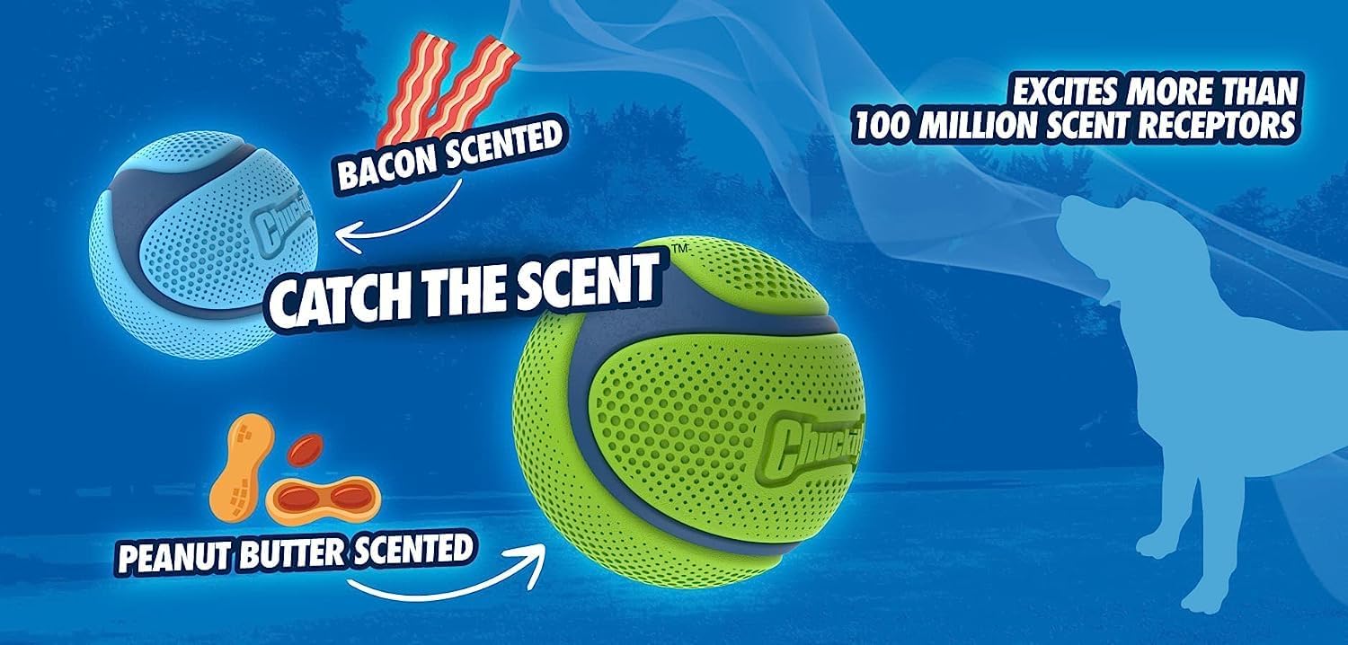 Chuckit! Scented Dog Ball - Peanut Butter Flavor | Medium Size | Launcher Compatible | Blue/Orange 4