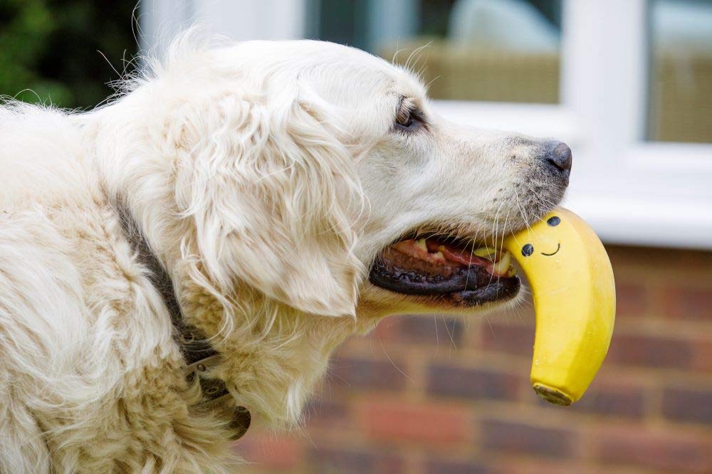 Petface Small Latex Banana Soft Chew Dog Toy - Durable Natural Rubber for Small Breeds 3
