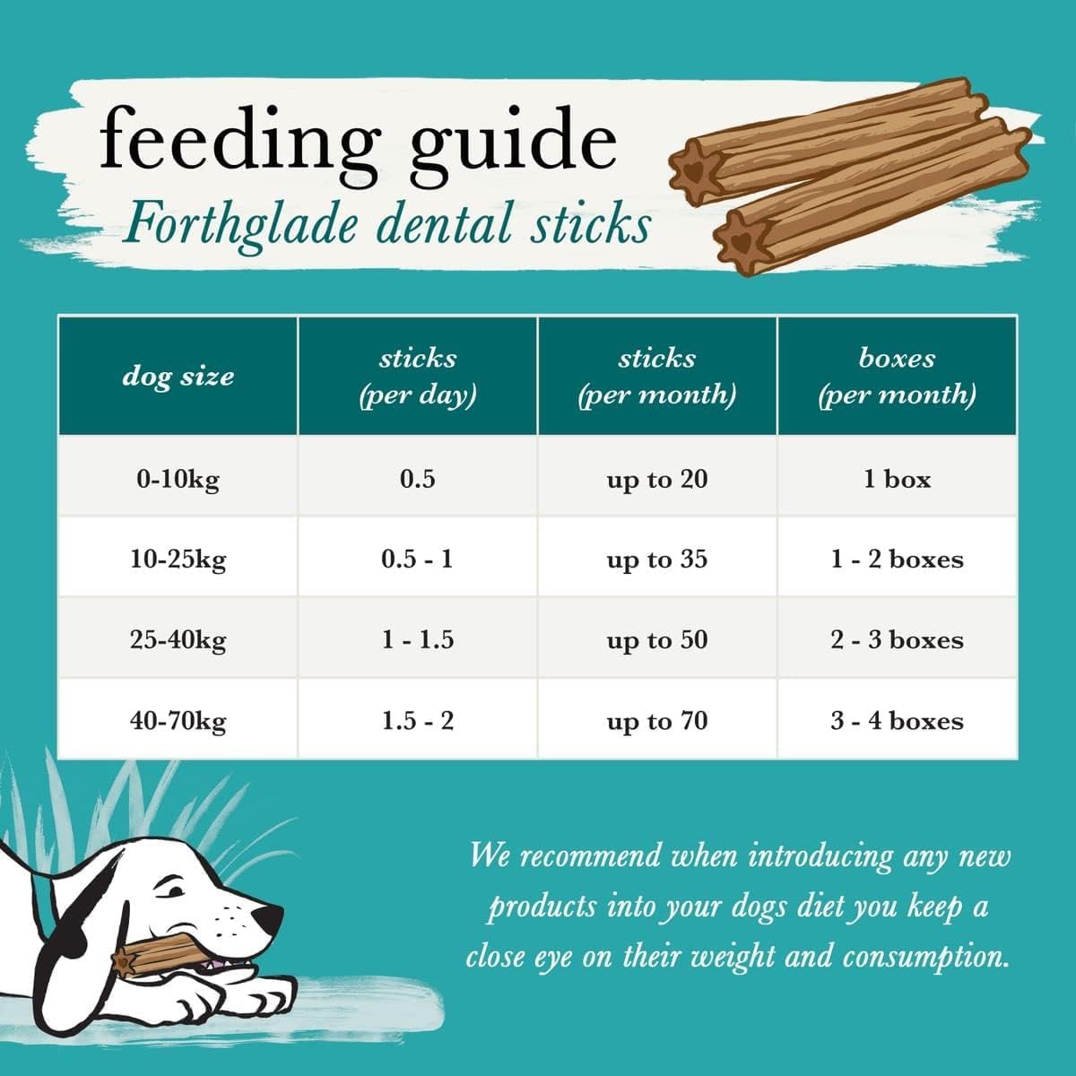 Forthglade Natural Dog Dental Sticks - Plant-Based & Grain Free for Adult Dogs (20 Sticks) 7