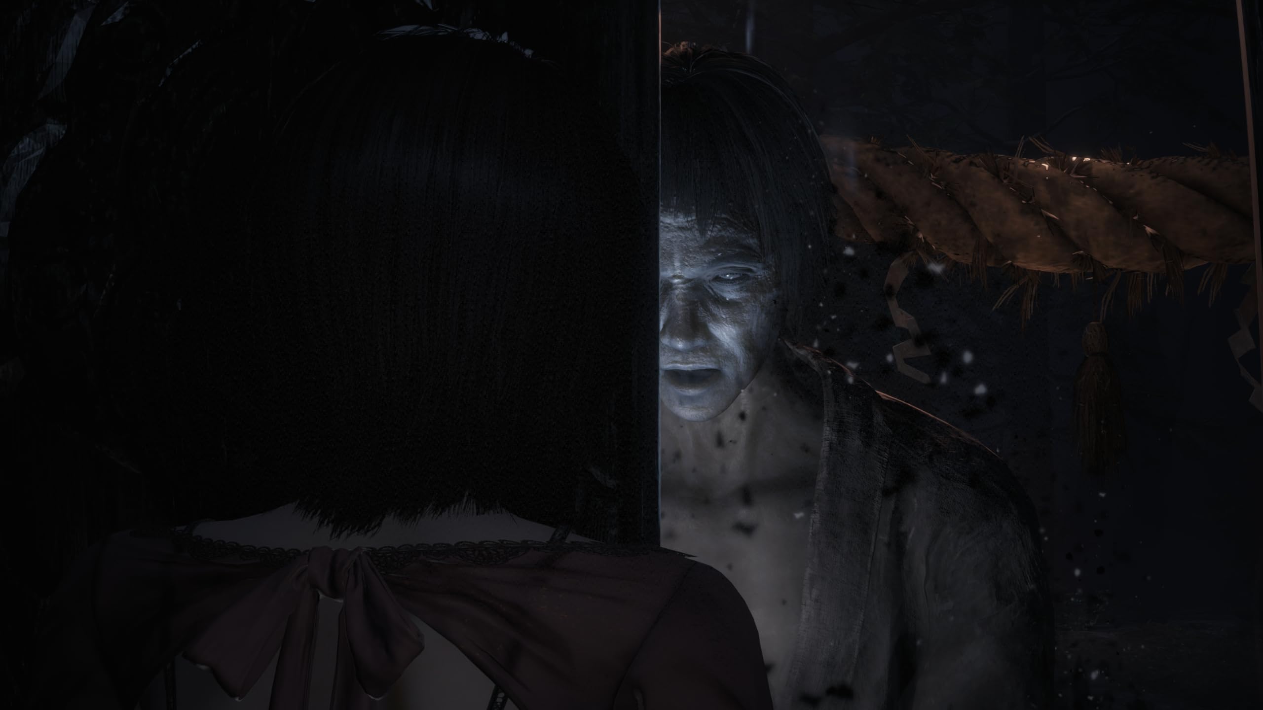 Fatal Frame II (PlayStation 5)
