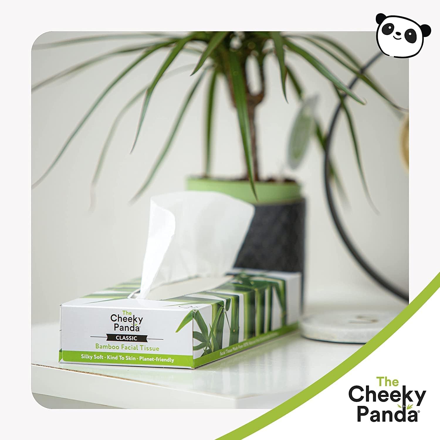 The Cheeky Panda – Bamboo Facial Tissues 3-Ply Flat Box (80 Tissues) Hypoallergenic, Plastic-Free, Eco-Friendly