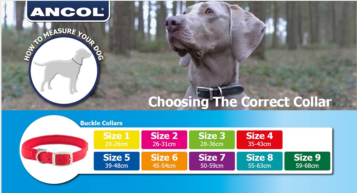 Ancol Timberwolf Leather Dog Collar - Sable | Size 4 (35-43 cm Neck) 5