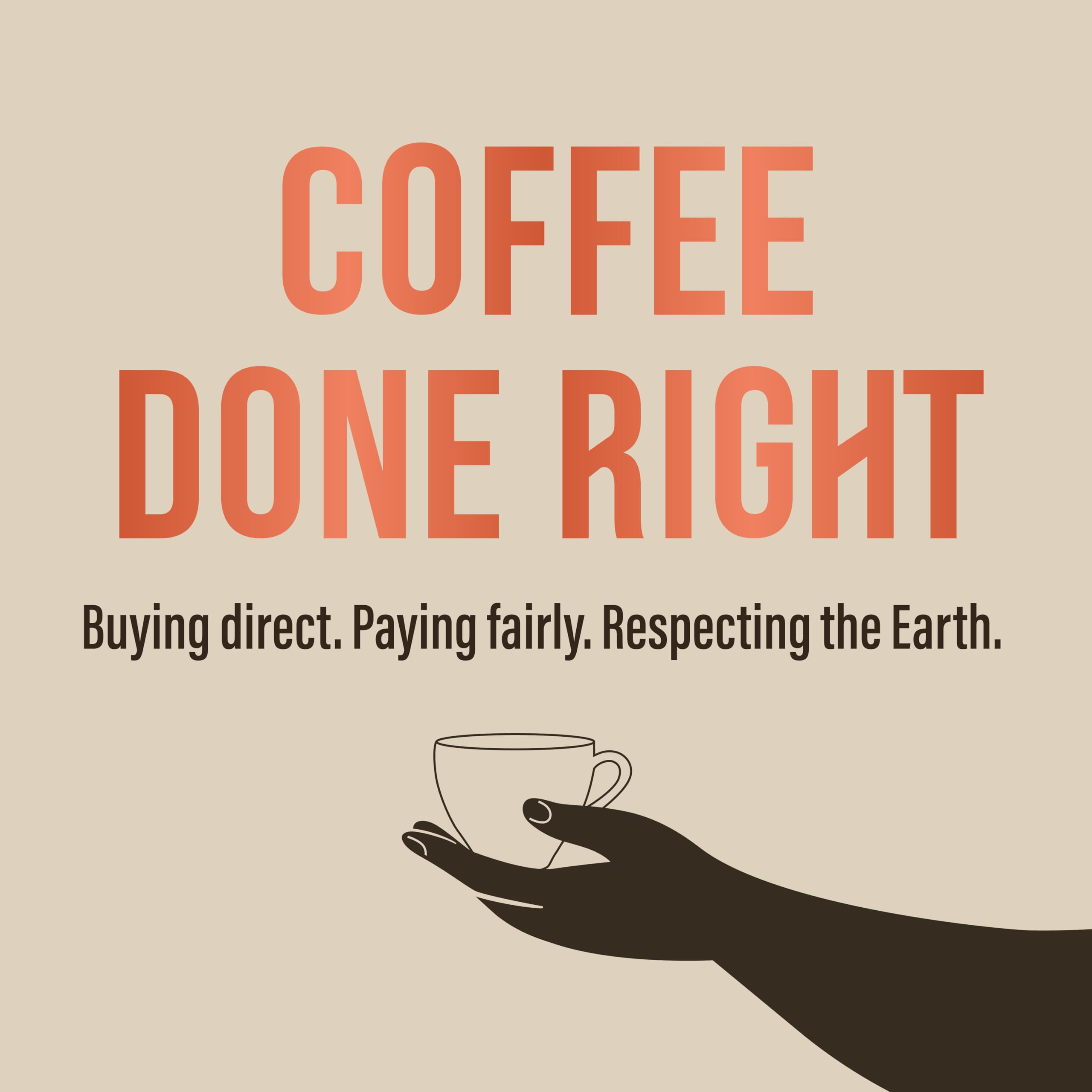 Café Direct Machu Picchu Decaf Coffee Bags - Fairtrade Arabica | 10 x 7g 5